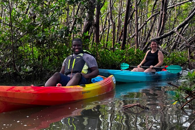 Self Guided EcoTour: Clear/Standard Kayaks -Bonita Springs - Explore Bonita Springs from the Water with a Self-Guided EcoTour