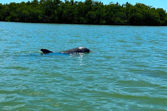 Self Guided EcoTour: Clear/Standard Kayaks -Bonita Springs - The Cancellation Policy and Weather Considerations