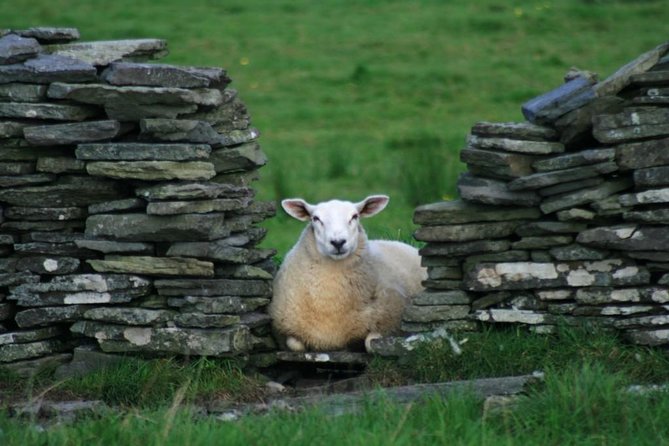 Self Guided Electric Bike Tour of Historical Sites in the Burren Co Clare - Exploring the Key Stops: Poulnabrone Dolmen, Caherconnell Fort, and Kilfenora Cathedral
