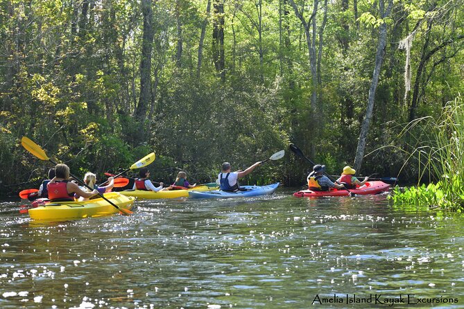 Self Guided Family Friendly Kayak Rental Experience Old Florida - Why Choose This Kayak Rental Experience