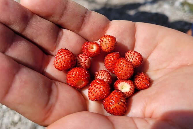 Self-Guided Hiking Tour: Theth, Valbona & Koman Lake in 3 Days - The Challenge of the Valbona Pass Trek