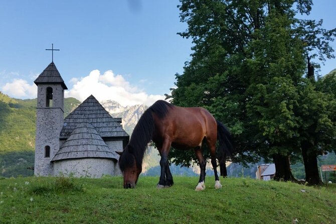 Self-Guided Hiking Tour: Theth, Valbona & Koman Lake in 3 Days - Practical Details: Accommodation, Transport, and Inclusions