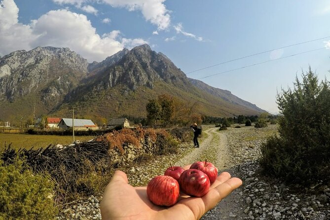 Self-Guided Hiking Tour: Theth, Valbona & Koman Lake in 5 days - Accommodation, Support, and Logistics