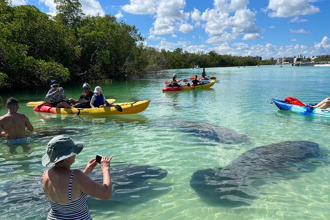 Self-Guided Island Tour: CLEAR/Standard Kayak, SUP-Bonita Springs - Self-Guided Island Tour in Bonita Springs offers a relaxed introduction to Floridas wildlife and scenic waters