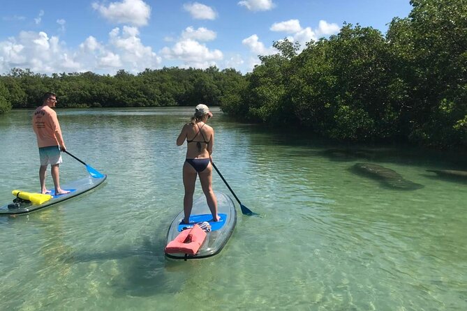 Self-Guided Island Tour: CLEAR/Standard Kayak, SUP-Bonita Springs - Key Points