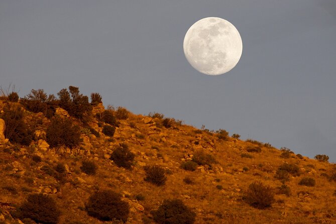 Self Guided Mt. Lemmon Scenic Byway Driving Tour - Visiting the Palisades Visitor Center and Local Amenities