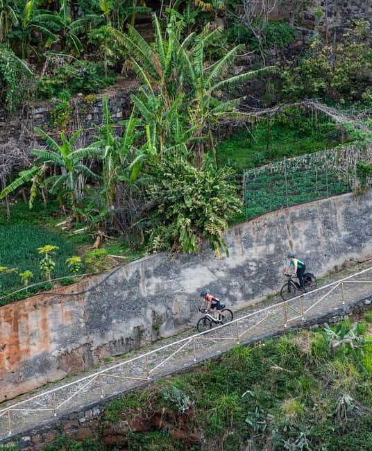 Self-Guided Road E-Bike Tour Ponta São Lourenço to Funchal - Routes and Terrain: From the Coastal Cliffs to Mountain Roads
