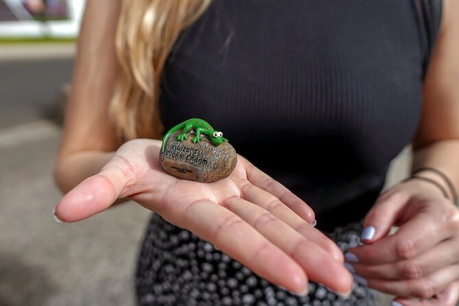 Self Guided Scavenger Hunt - Costa Adeje - Language Accessibility and App Use