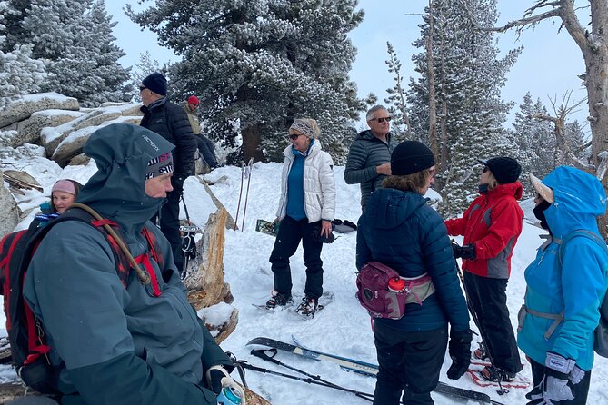 Self Guided Snowshoe Experience at Lake Tahoe - Key Points