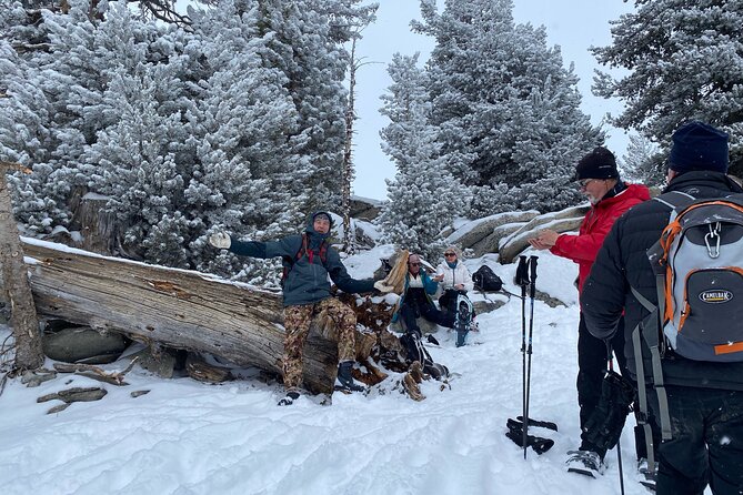 Self Guided Snowshoe Experience at Lake Tahoe - Included Equipment and Practical Details