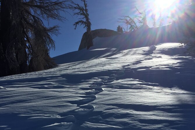 Self Guided Snowshoe Experience at Lake Tahoe - The Value of a Self-Guided Snowshoe Tour