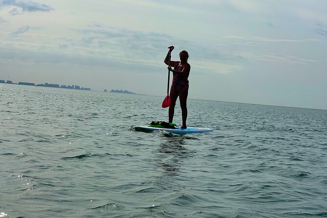 Self Guided Standup Paddle Board EcoTour -Bonita Springs - Custom Route Based on Daily Conditions