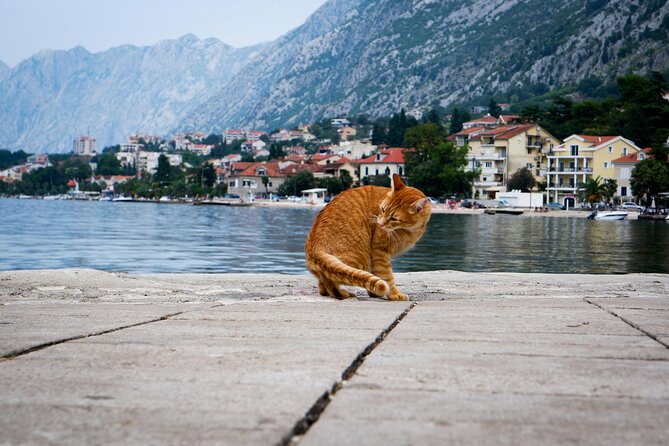 Self Guided Stroll Through Old Town of Kotor - Walking Through Historic Houses and Nobility Palaces