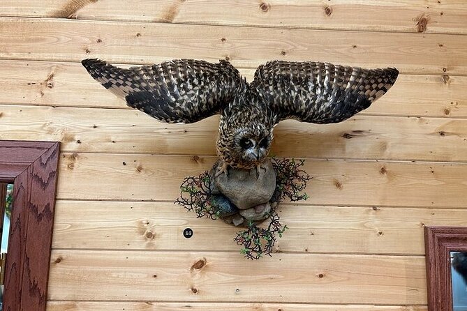 Self Guided Tour in Wildlife Gallery - Final Thoughts on the Wildlife Gallery Tour