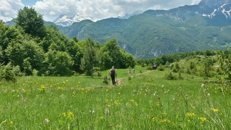 Self-Guided Tour: Theth, Valbona & Koman Lake - Unique Features That Set This Tour Apart