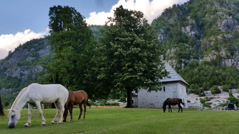 Self-Guided Tour: Theth, Valbona & Koman Lake - Limitations to Consider