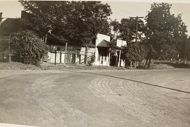Self-Guided Walking Tour in Chinatown - Insights into Chinese Cultural Traditions and Community Life