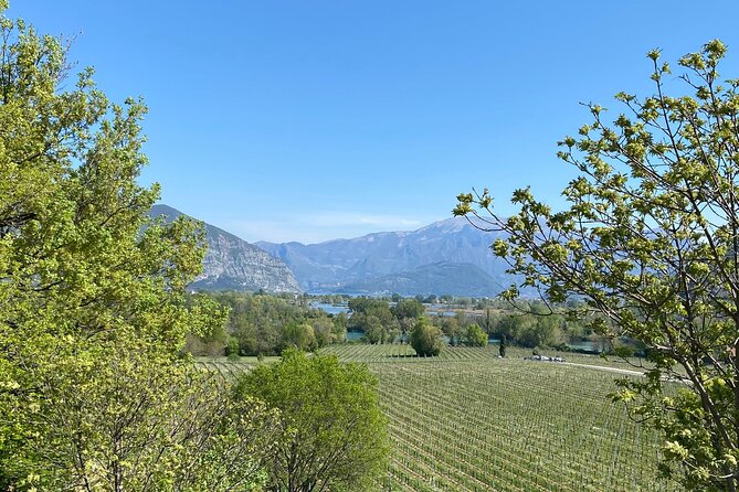 Self-guided Wine tour in Franciacorta, Full-Day Experience with Lunch - Wineries Highlighted for Diversity and Quality