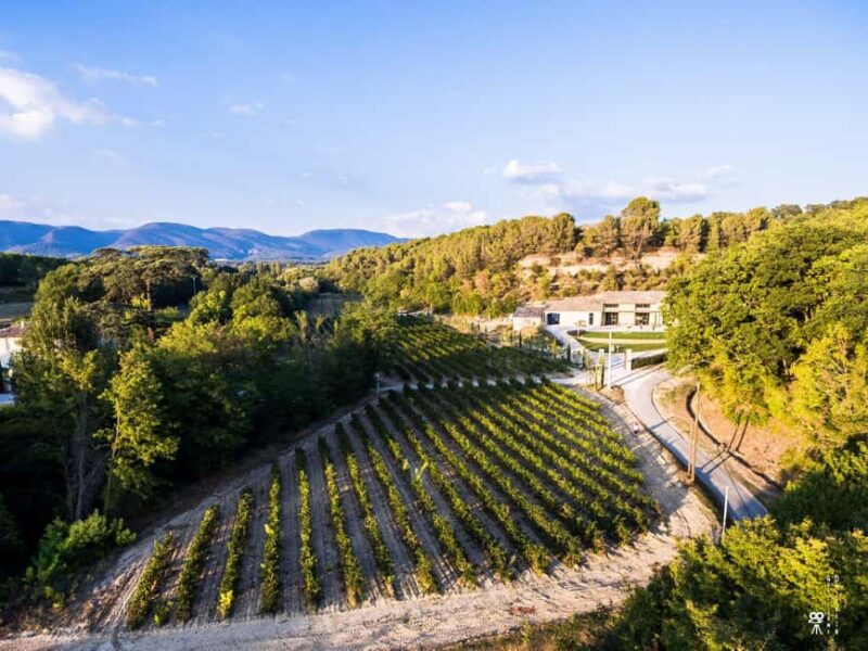 Self tour of the olive oil mill & olive oil tasting - Discover the Bastide du Laval Olive Oil Mill in the Heart of Provence