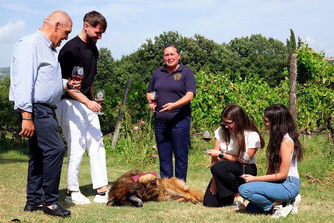 Sella delle Spine Taurasi: Tasting, Vineyard and Cellar Tour - Cultural and Historical Highlights at Taurasi Castle