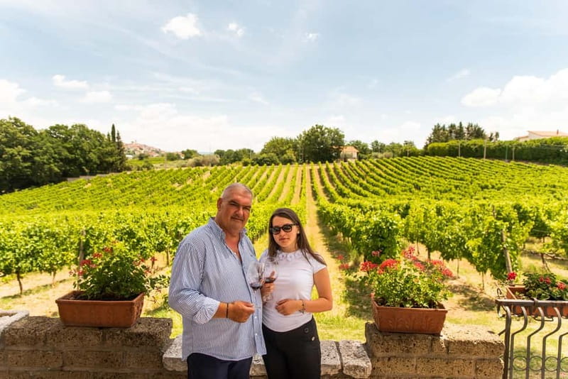 Sella delle Spine Taurasi: Tasting, Vineyard and Winery Tour - Key Points