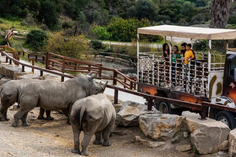 Selwo Aventura Admission Ticket with Skip-the-Line Access - Adventures on Hanging Bridges and Zip Lines