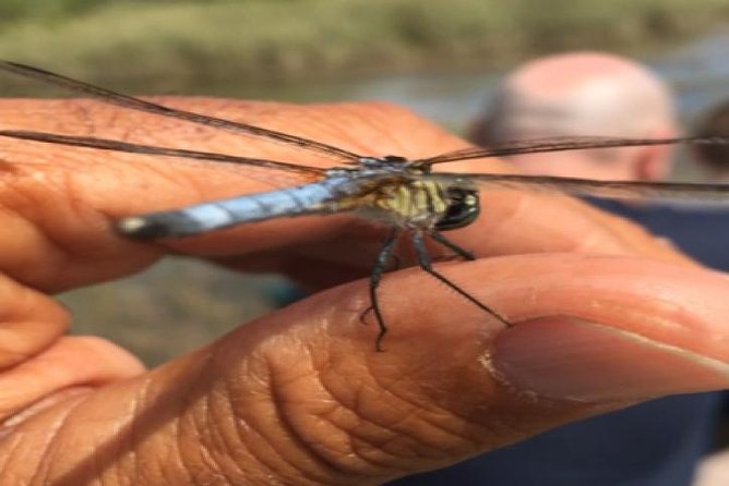 Semi-Private 1-Hour Airboat Tour of Miami Everglades - Hydration, Comfort, and Amenities
