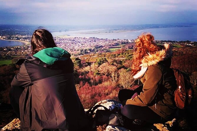 Semi-Private (8people max) 2.5 Hr Dublin Walking Tour - Uncover the History of Dublin Castle