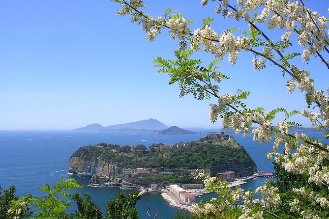 Semi Private Amalfi Coast Shore Excursion with Pick Up - Starting from Naples: Convenient Pickup Locations and Timing