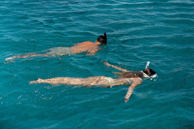 Semi-Private Brand-New Catamaran Cruise in Mykonos with Meal, Drinks & Transport - Savour a Freshly Cooked 3-Course Meal Onboard