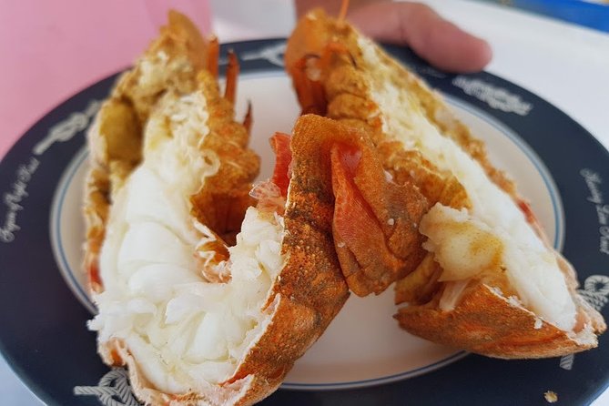 Semi - Private Fishing Tour (transportation included) - Scenic Views of the White and Greenish Cliffs