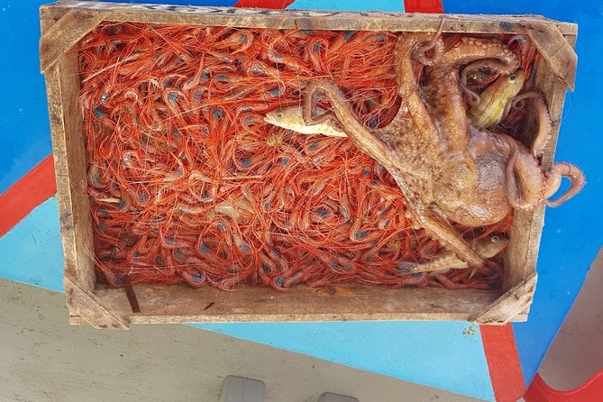 Semi - Private Fishing Tour (transportation included) - Engaging and Knowledgeable Crew