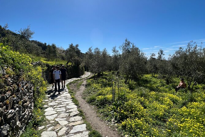 Semi-Private Guided Hiking Cinque Terre Tour from Florence - Practical Details of Transportation and Admission
