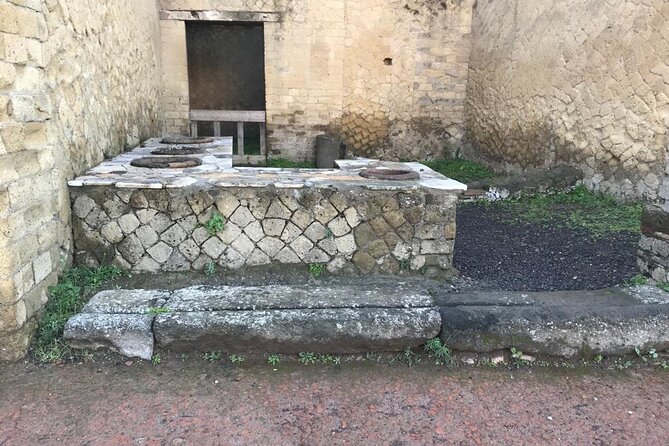 Semi-Private Guided Small-Group Tour of Herculaneum - The Value and Suitability of the Tour