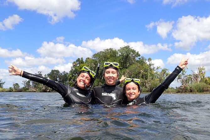 Semi-Private Manatee snorkeling with In Water Guide - The Experience with Wild Manatees in Their Natural Habitat