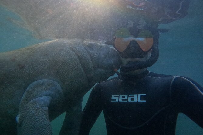 Semi-Private Manatee snorkeling with In Water Guide - Weather and Water Conditions