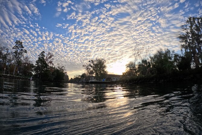 Semi Private Manatee Swim Tour - Experience Highlights and Notable Reviews