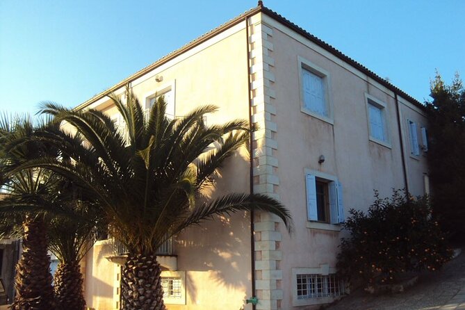 Semi- Private Olive Grove and Dragon Fruit Farm with Tastings - Visiting the Koronekes Olive Oil Mill in Crete