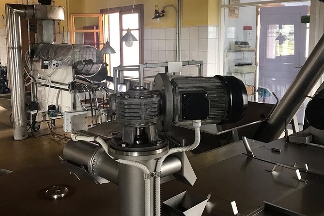 Semi- Private Olive Grove and Dragon Fruit Farm with Tastings - Final Thoughts on the Olive Grove and Dragon Fruit Farm Tour