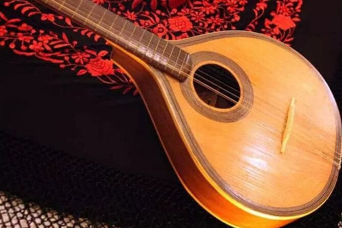 Semi Private Oporto Fado Show with Dinner - In-Depth Look at the Guides and Service