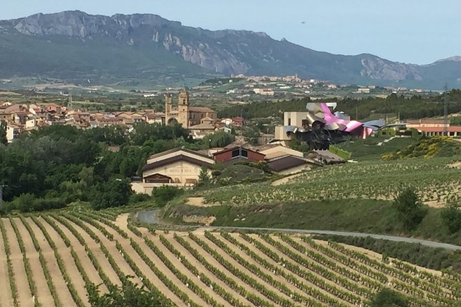 Semi-Private Rioja Tour of 3 Premium Wineries from Bilbao - Viewing the Frank Gehry-designed Hotel Marques de Riscal