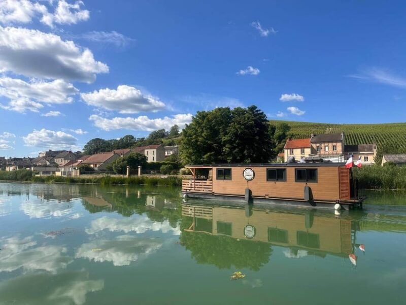 Semi Private Solar Boat Cruise in Champagne - Scenic Routes and Wildlife Observation Opportunities