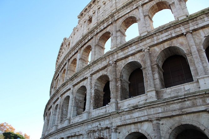 Semi-private tour: Colosseum & Ancient Rome VIP - Cancellation Policy and What to Know Before Booking