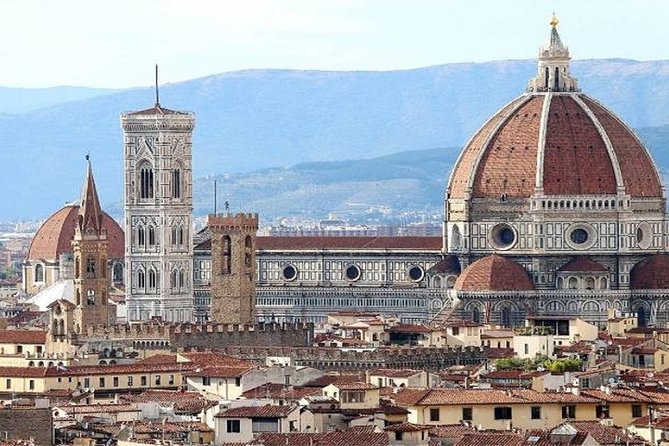 Semi-Private Tour: Day Trip to Florence and Pisa from Rome with Lunch included - Potential Challenges and Criticisms