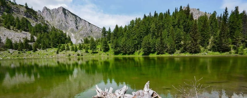 Semi-Private Tour; Explore Kosovo, Europes Youngest Country - Practical Details and Tour Logistics