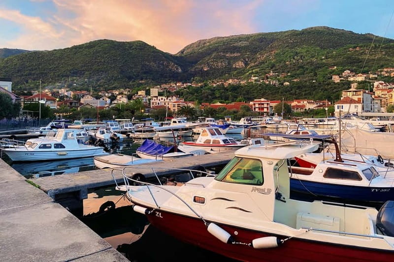 Semi-Private Tour of Montenegro: Budva & Kotor from Tirana - Customer Satisfaction and Positive Feedback