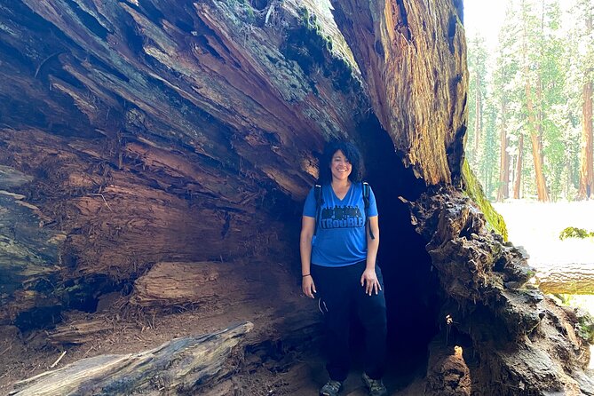 Semi Private Tour to Sequoia National Park with Lunch - Exploring the Big Trees Trail on a Paved Loop