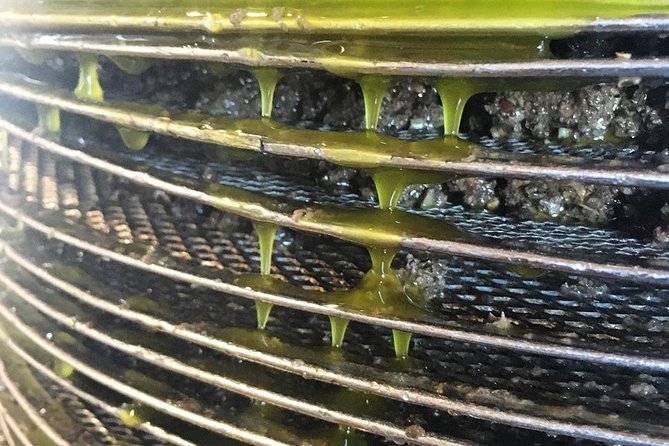 Semi Private Wine and Olive Oil tour (Transfer & Lunch Incl.) - Tasting Experiences and Food Highlights