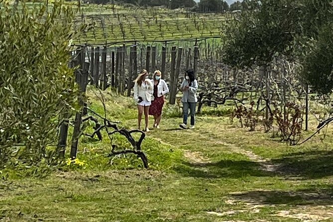 Semi-Private Wine Tour of 2 wineries with wine Tastings - Key Points
