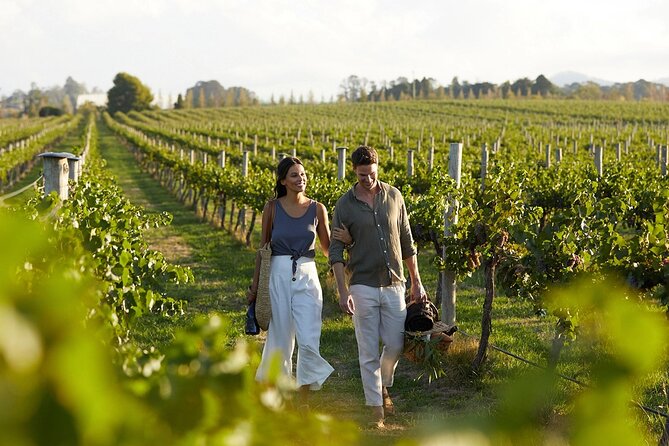 Semi-Private Wine Tour of 2 wineries with wine Tastings - Exploring Crete’s Wine Heritage at Titakis Wines